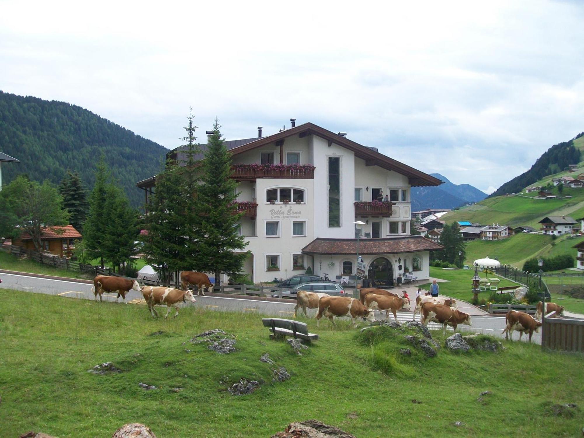 Garni Villa Erna سيلفا دي فال جاردينا المظهر الخارجي الصورة